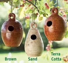 bird pot4